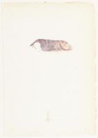 KT 2013 046
<br/>
Kat
<br/>
<em>Melle (1908-1976)</em>